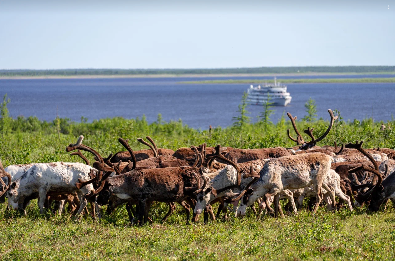 image2.png image2.png