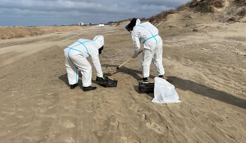 Туроператоры ждут готовности пляжей Анапы к приему туристов в июне 