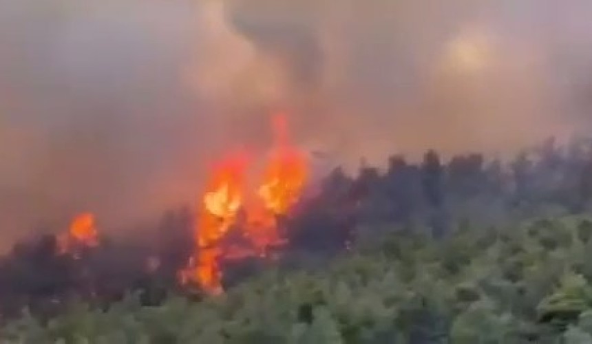 На Эгейском побережье Турции борются с лесными пожарами