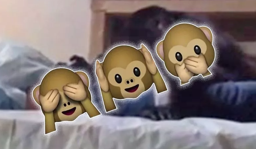 Бесплатное порно видео с обезьяной. Жесткий зоо секс с гориллой смотреть онлайн