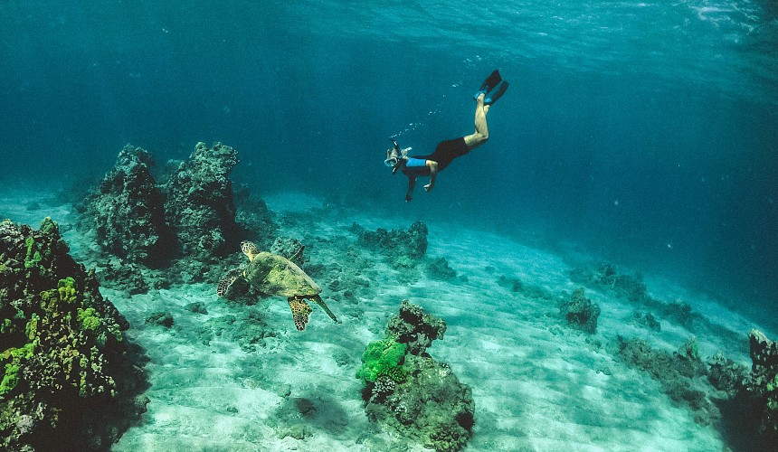 Российский турист утонул на Мальдивах, наблюдая за рыбами